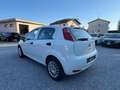Fiat Punto Punto 2017 5p 1.3 mjt Street s N1 Blanc - thumbnail 5