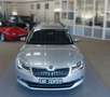 Skoda Superb Combi TDI Business;NAV XEN StndHz PDC AHK Silber - thumbnail 3