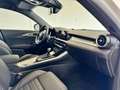 Alfa Romeo Tonale 1.5 160 CV MHEV TCT7 Tributo Italiano Bianco - thumbnail 20