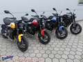 Triumph Trident 660 Testsieger Mod `25 = 1205,- gespa Jaune - thumbnail 1