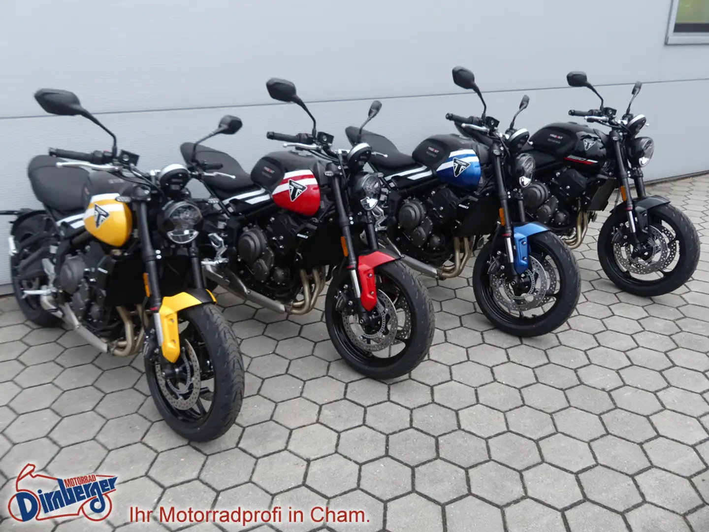Triumph Trident 660 Testsieger Mod `25 = 1205,- gespa Jaune - 1