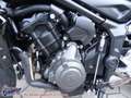 Triumph Trident 660 Testsieger Mod `25 = 1205,- gespa Jaune - thumbnail 19