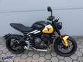Triumph Trident 660 Testsieger Mod `25 = 1205,- gespa Jaune - thumbnail 3