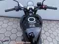 Triumph Trident 660 Testsieger Mod `25 = 1205,- gespa Jaune - thumbnail 24