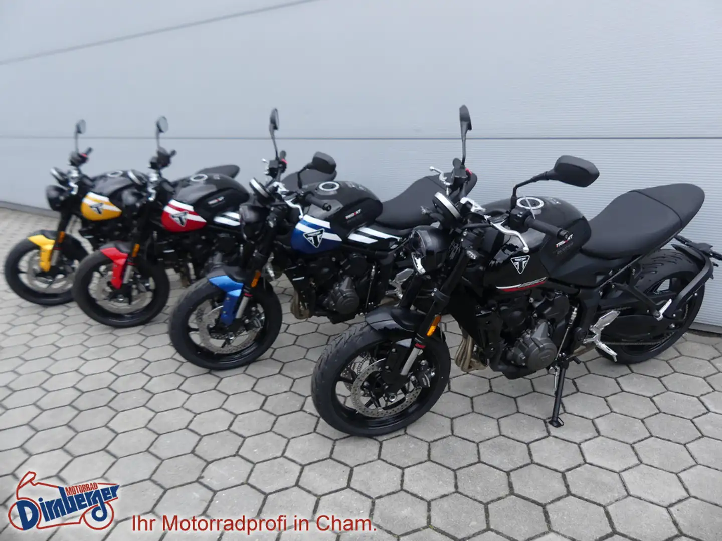 Triumph Trident 660 Testsieger Mod `25 = 1205,- gespa Jaune - 2