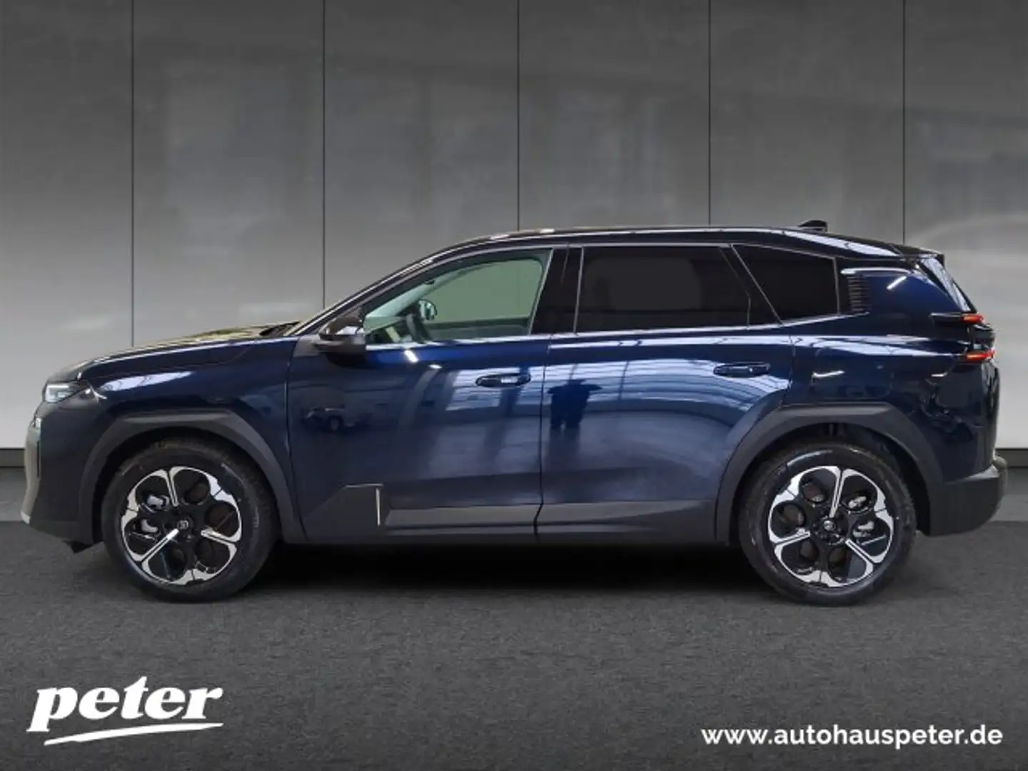 Citroen C5 Aircross C5 Aircross Elektro 210 MAX +360°Kamera+Winter+ Bleu - 2