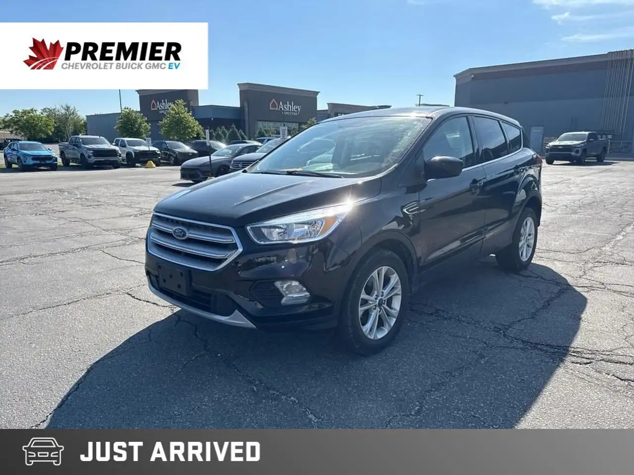 2019 Ford Escape