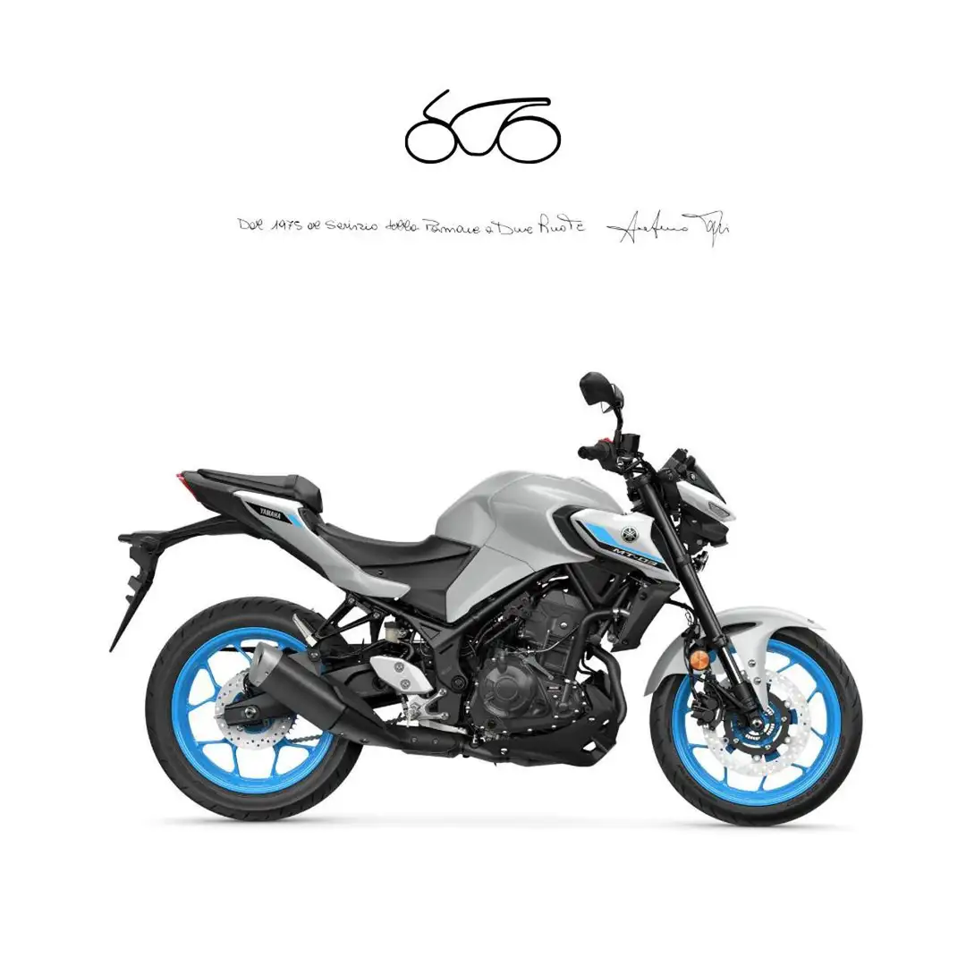 Yamaha MT-03 . Gri - 1