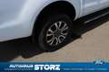 Ford Ranger Wildtrak Doppelkabine 4x4 ALLRAD|AUTOMATIK|WILDTRA Weiß - thumbnail 9