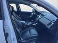 Jaguar E-Pace 2.0DI4 D150 S AWD Aut. Leder/NAVI/Kamera/Garantie Weiß - thumbnail 16