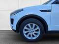 Jaguar E-Pace 2.0DI4 D150 S AWD Aut. Leder/NAVI/Kamera/Garantie Weiß - thumbnail 8