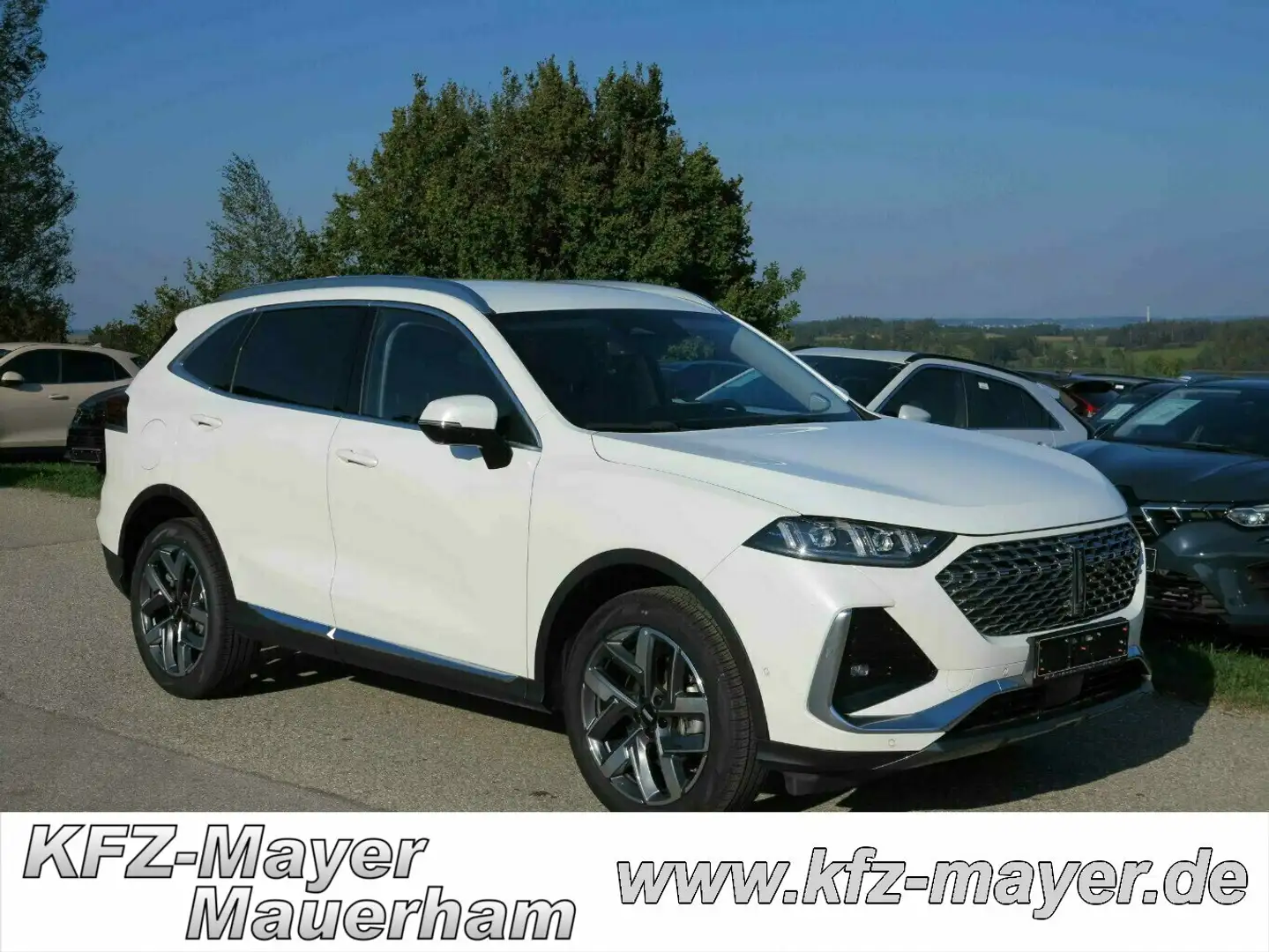 GWM WEY 03 2.0 PHEV 270KW/367PS, Luxury, AHK Weiß - 1