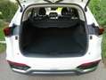 GWM WEY 03 2.0 PHEV 270KW/367PS, Luxury, AHK Weiß - thumbnail 7