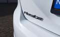 Ford Fiesta 1.0 EcoBoost Titanium|AUTOMAAT|CarPlay®Andriod Wit - thumbnail 19