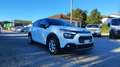 Citroen C3 BlueHDi 100 S&S Van Feel Bianco - thumbnail 12