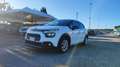 Citroen C3 BlueHDi 100 S&S Van Feel Bianco - thumbnail 1