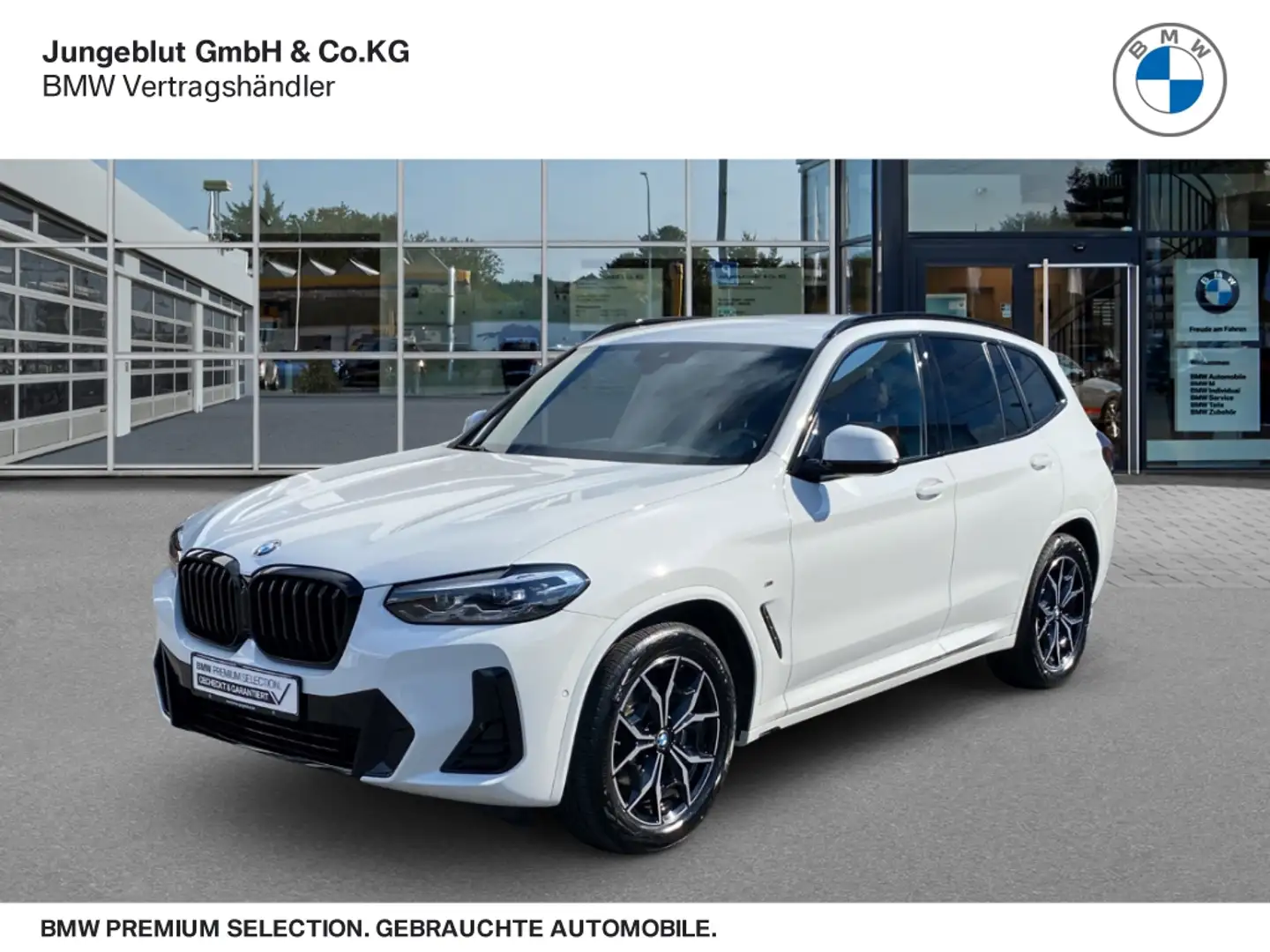 BMW X3 xDrive20d M Sport AHK/LiveCockpit+/LED-Scheinw. Blanc - 1