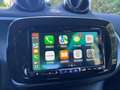 smart forTwo Fortwo 1.0 Passion 71cv twinamic Rosso - thumbnail 6