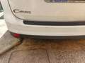 Ford C-Max C-Max 1.6 tdci Titanium 115cv dpf - thumbnail 5