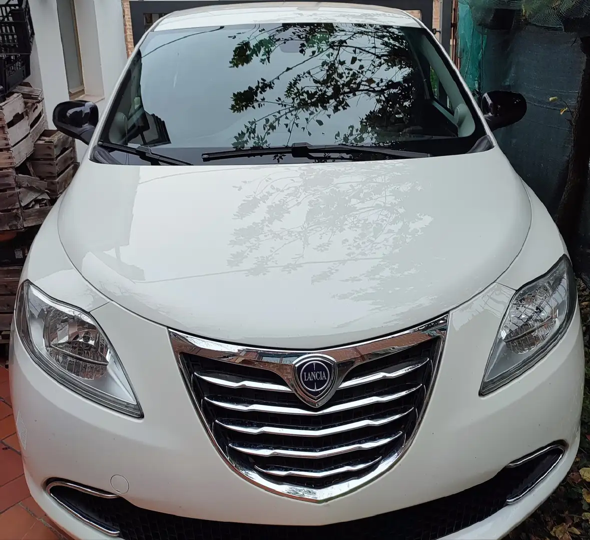 Lancia Ypsilon Gold 0.9 twinair 80 CV metano ecochic Fehér - 1