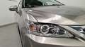 Lexus CT 200h 1.8 Business Gris - thumbnail 27