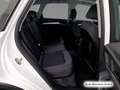 Audi Q5 40 TDI qu. S tronic Advanced Pano/Navi+/LED Blanco - thumbnail 11