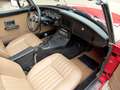 MG MGB Roadster letztes Chrommodell Czerwony - thumbnail 8
