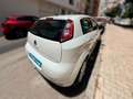 Fiat Punto 1.2 8v Young 69 CV SS Gasolina Blanco - thumbnail 5