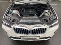 BMW X3 20d Park-Assist/LiveCockpit+/Sportsitze/HiFi/Fernl Weiß - thumbnail 16