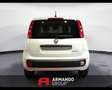 Fiat Panda 3ª serie 1.0 FireFly S&S Hybrid Icon Wit - thumbnail 6
