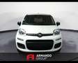 Fiat Panda 3ª serie 1.0 FireFly S&S Hybrid Icon Wit - thumbnail 2