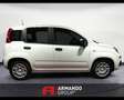 Fiat Panda 3ª serie 1.0 FireFly S&S Hybrid Icon Wit - thumbnail 4