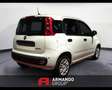 Fiat Panda 3ª serie 1.0 FireFly S&S Hybrid Icon Wit - thumbnail 5