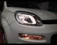 Fiat Panda 3ª serie 1.0 FireFly S&S Hybrid Icon Wit - thumbnail 28