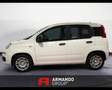 Fiat Panda 3ª serie 1.0 FireFly S&S Hybrid Icon Wit - thumbnail 9