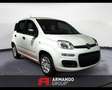 Fiat Panda 3ª serie 1.0 FireFly S&S Hybrid Icon Wit - thumbnail 3