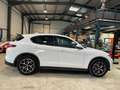 Alfa Romeo Stelvio Q4 SPORT AT8 MY20 Blanc - thumbnail 12