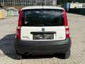 Fiat Panda 1.3 JTD Trekking 4X4 Weiß - thumbnail 7