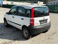 Fiat Panda 1.3 JTD Trekking 4X4 Weiß - thumbnail 8