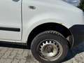 Fiat Panda 1.3 JTD Trekking 4X4 Weiß - thumbnail 13