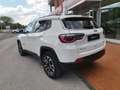 Jeep Compass Compass 2.0 Multijet II aut. 4WD Limited Bianco - thumbnail 6