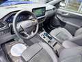 Ford Kuga Kuga 2.5 Full hybrid ST-Line X 2wd 180cv cvt Blu/Azzurro - thumbnail 9