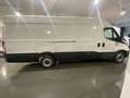 Iveco Daily Furgón 33S16 V 3520L H2 12.0 156 Blanco - thumbnail 4