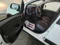 Fiat Panda Panda III 2016 4x4 1.3 mjt 16v 4x4 s Bianco - thumbnail 10