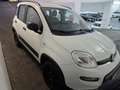 Fiat Panda Panda III 2016 4x4 1.3 mjt 16v 4x4 s Bianco - thumbnail 2