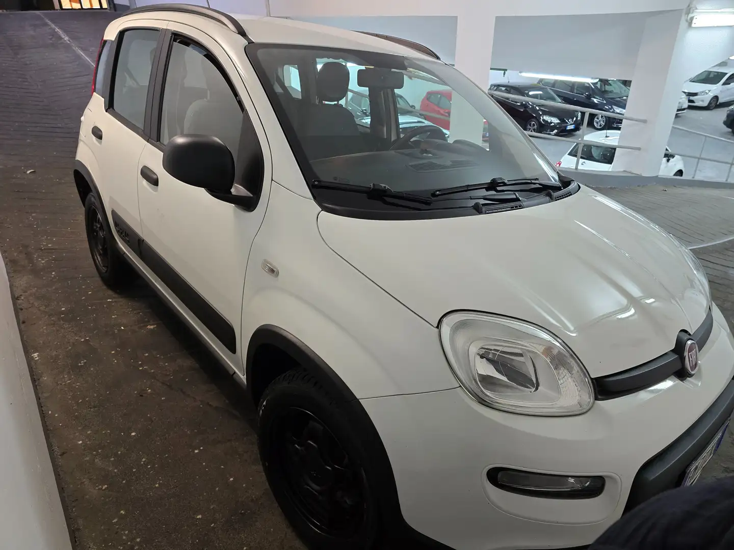 Fiat Panda Panda III 2016 4x4 1.3 mjt 16v 4x4 s Bianco - 2