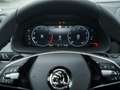Skoda Scala 1.0 TSI Drive DSG MATRIX+NAVI+RFK+SIDE Grau - thumbnail 12