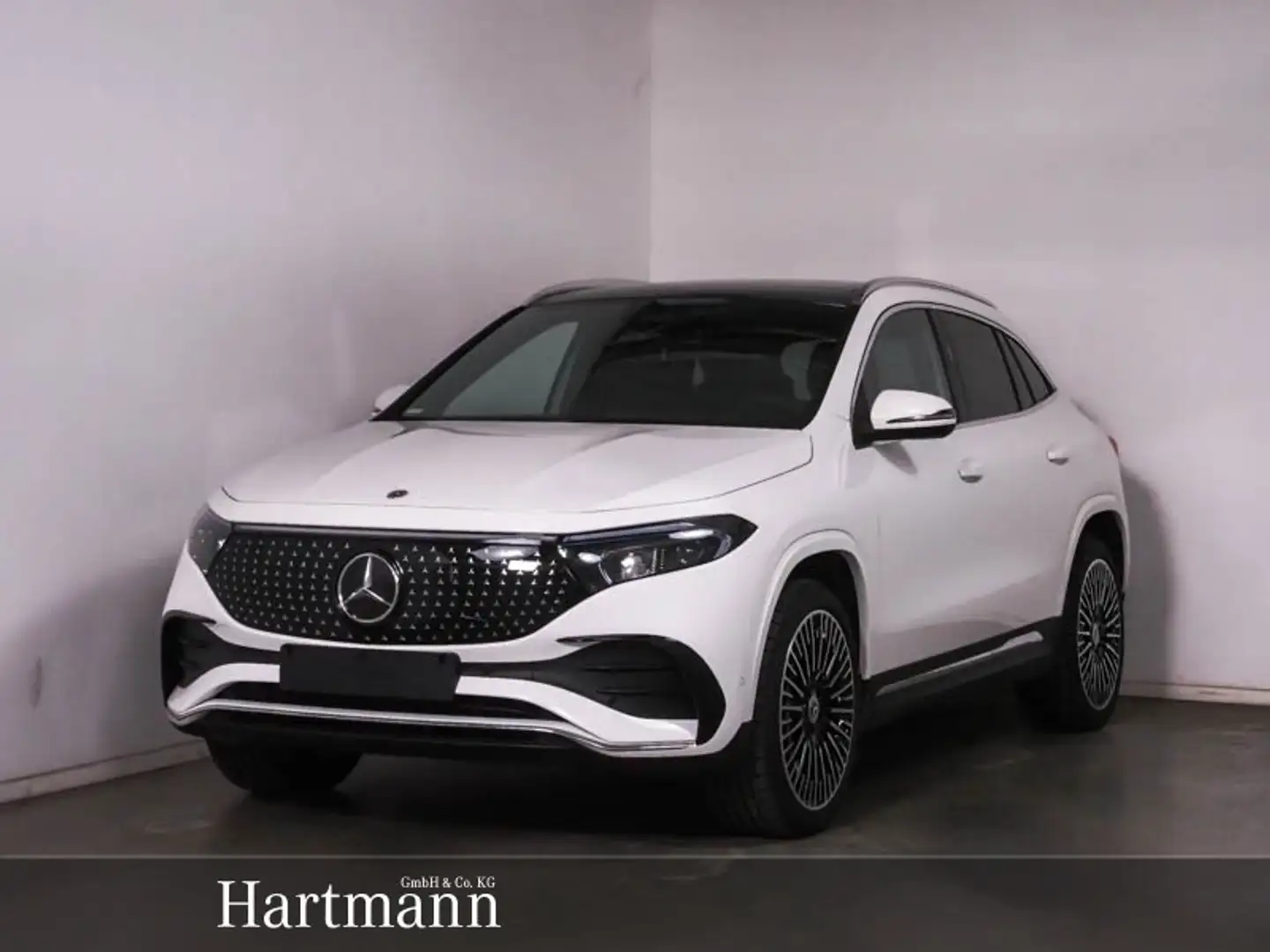 Mercedes-Benz EQA 300 EQA 300 4Matic AMG 20 Panorama Fahrassistenz AHK Alb - 1
