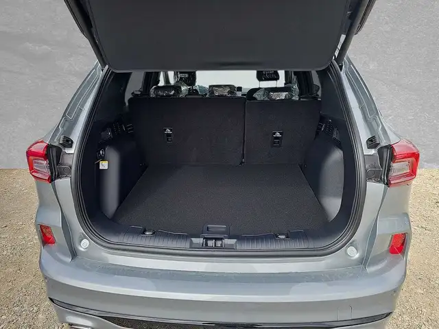 Ford Kuga view 10