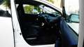 Toyota Prius Plug-in Hybrid/LED.S/NAVI/SHZ/R.KAMERA/PDC Weiß - thumbnail 10